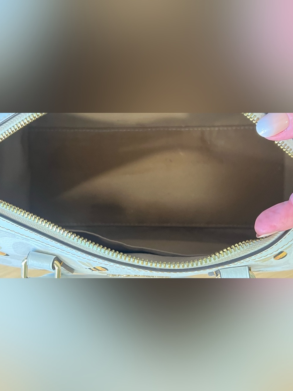 Coach Rowan Satchel Bag in Signature Canvas With Bee Print - Picture 10 of 16